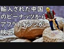 輸入された中国のピーナッツからアフラトキシンが検出多数、天然物最強と呼ばれる発がん性を有している(U-1 NEWS)