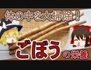 【ゆっくり解説】ごぼうの栄養について解説！