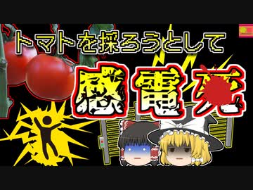 【2000年米国】トマトを収穫しようとして自作電気柵で感電、心臓が停止した状態で発見された男性【ゆっくり解説】