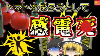 【2000年米国】トマトを収穫しようとして自作電気柵で感電、心臓が停止した状態で発見された男性【ゆっくり解説】