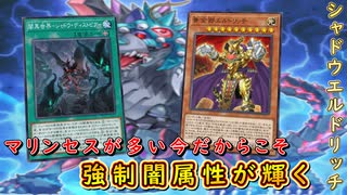 【遊戯王マスターデュエル】闇黒世界に輝けし黄金郷！　シャドウエルドリッチで光と闇の巧みに操り勝利を掴み取れ！