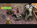 【実況】牧場物語Oh!ワンダフルライフを遊ぶいも#29