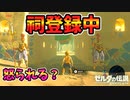 祠を起動しながらゲルドの街に入ると？【ブレワイ BotW】裏技 バグ 検証 ゆっくり実況 glitch