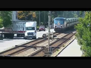 世界の衝撃的映像集Part70