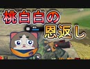 【DB】タオパイパイの恩返し【ドラゴンボールザブレイカーズ】