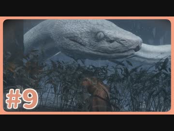 【実況】SEKIROで遊んじゃうどー Part9