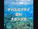 デバスズメダイ