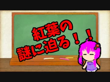 【3分解説】ゆかり先輩に聞く身近な化学part30【VOICEROID解説】