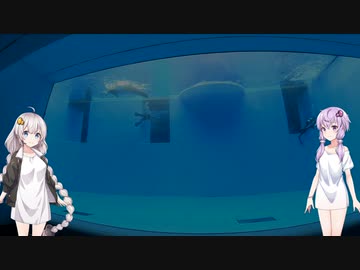 【ボイスロイド車載】結月ゆかりと紲星あかりとコペンで（ほぼ）新潟ツーリング！　上越うみがたり水族館
