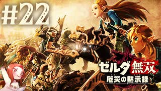 【DLC編スタート】ゼルダの元へ【ゼルダ無双 厄災の黙示録】Part22