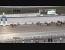 2022年10月22日高知競馬4R ＪＢＣ協会協賛高知佐賀スタリオンシリーズ ディープブリランテ賞(準重賞) ララメダイユドール