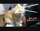 わるそばっかるするマロン