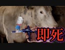 オーストラリアで35頭の牛が接種直後に即死。