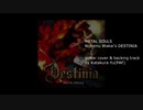 METAL SOULS Nozomu Wakai's DESTINIA guitar cover