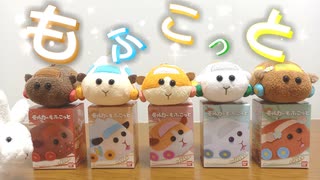 【新商品】ふわふわ！かわいいモルカーもふこっとを開けてくぞ！