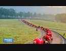 ホモと学ぶ中国で流行っている最新エクササイズ