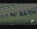 【WP9 2022】VS RACE 中山 芝2000m（右）馬場：良