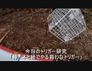 （またまたトリガー研究回ｗ）変態忍者の、有害鳥獣駆除従事活動記・その２１６
