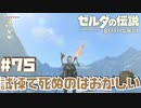 溶岩の設備は意味わからん【リトの村編】#75