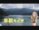 車載もどき供養動画