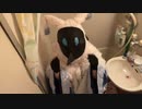 氷20キロの中に沈むアビスの魔術師（氷）