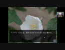 【ヘッドホン推奨】Ivy②【ASMR.ヒソヒソ声.囁き声.睡眠導入.眠れる動画】