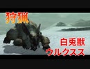 【実況】ぼっちハンターが行く！モンスターハンターXX 第12回