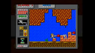 SEGA AGES ワンダーボーイ モンスターランド（ALL／4630G）