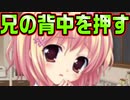 【紳士向け】#135　双子だからこそ二人の幸せを願って【妹ぱらだいす！】