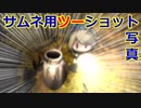 【深夜廻】夜に徘徊する不審者たち：Part10 お次はなんだ？ 【ゆっくり実況】
