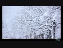 雪幻-winter dust-【歌ってみた】