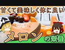【ゆっくり解説】メロンの栄養について解説！