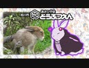 ゆかウサギ動物園　#9【旭山動物園】