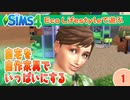 ＃１【シムズ4】自宅を自作家具でいっぱいにする！【ゆっくり実況】