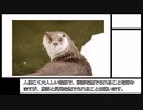 SCP  職員・人物ファイル-JP ゆっくり解説