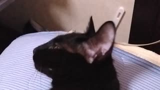 あごみせこま