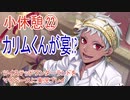 ツイステッドワンダーランドをマイペースに実況プレイ　小休憩㉒