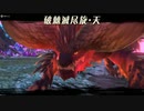 【実況】MHRiseにハマった男は、MHST2にもハマるのか？　Part41