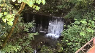 【野外】御岳山を歩いてみる