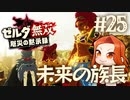 【未来の族長】王立古代研究所解放戦【ゼルダ無双 厄災の黙示録】Part25