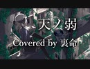 【裏命 カバー】天ノ弱 Covered by 裏命