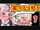 【ドッキリ】クイズ形式であれを見せた結果盛大に笑われてしまうwwww【ボイスロイド／VOICEROID実況】