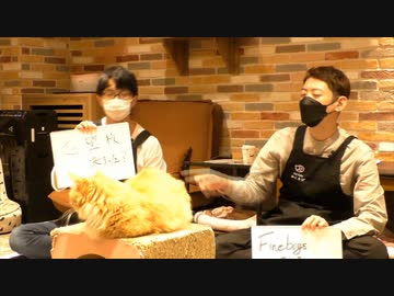 みけねこ男子 18きゃりこ 後編 動物 動画 ニコニコ動画