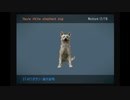 【主婦が犬と一緒に彷徨い走る】デメント【実況プレイ】part final