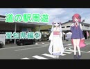 【COEIROINK車載】愛知県道の駅周遊④田原めっくんはうす～道の駅とよはし【原付２種】