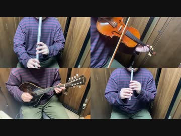 ウマ娘のグランドライブ育成ジュニア～クラシックBGMをアイリッシュ楽器等で演奏してみた