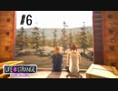 ＃６ よい子でプレイするライフ イズ ストレンジ：ビフォア ザ ストーム 1周目（字幕版）