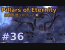 【ゆっくり実況】貧弱流され魔術師のダイアウッド一人旅36