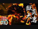 【ゼルダの伝説 スカイウォードソードHD】始まりの姿でクリアする～はじまりの物語～part10【縛り実況】