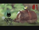 吾輩は猫である。名前はイノ。【Stray】#1